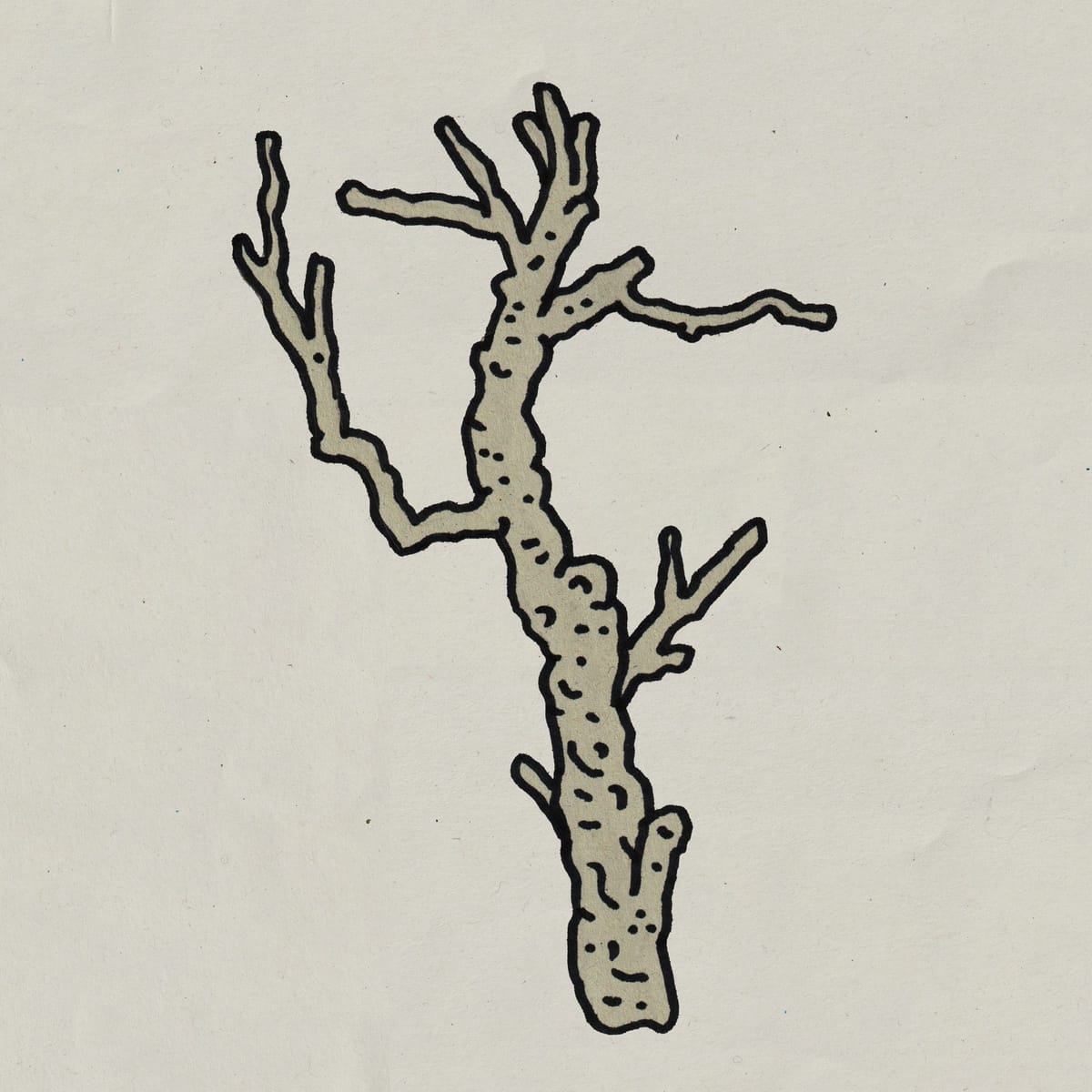 lesna-sprawa-1
